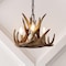 Jonathan Y Nelle 11.5" Adjustable Resin Antler 3-Light LED Chandelier, Brown JYL6313A - alternate 10