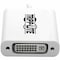 Tripp Lite USB C TO DVI VIDEO ADAPTER CONVERTER 1080P, M/F, THUNDERBOLT 3 COMPATIBLE, USB-C U444-06N-DVI-AM - alternate 11