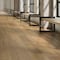 Daltile Asher Bend 9in. x 71in. Rigid Click Luxury Vinyl Flooring 26.50 Sq Ft, 6PK AB2497120L65MSX - alternate 8