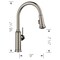 Blanco Empressa Pull-Down 1.5 GPM, Satin Platinum 443245 - alternate 3
