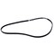 Motorcraft Serpentine Belt,  JK4556 - alternate 4