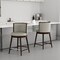 Manhattan Comfort Evalyn Counter Stool  in Stone - Set of 2 2-CS021-ST - alternate 1