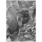 Homeroots 8' X 10' Black Gray And White Abstract Washable Indoor Outdoor Area Rug 559448 - alternate 5