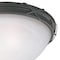 Westinghouse 2LGT Ceiling Fixture 69407 - alternate 4