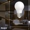 Bulbrite LED Filament 7 W Dimmable A19 Light Bulbs with Milky Finish and E26 Base - 3000K, 800Lumens, 4PK 862847 - alternate 12