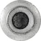 Auveco Ford Self-Piercing Rivet, 10PK 22884 - alternate 4