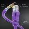 Maximm Cat6 Round LAN Patch Cable 25ft, Purple, 10PK CAT6743 - alternate 5