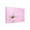 Trademark Fine Art Outdoor Canvas Art - Jacky Parker 'Softness' Wall Art for Patios, or Gardens 1X10007-OC1219WR - alternate 1