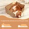 Simple Deluxe FluffyDream Dog Bed, Super Soft Calming Pet Bed with Pillow Edge, Suitable for Dogs Up to 30 lbs, 2 PTDBEDCUD2420TAN - alternate 8