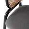 Leisuremod Ervilla Dining Chair with Stainless Steel Legs Velvet Seat and Wicker Back, Grey, 4PK EC20GR4 - alternate 9