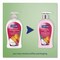Softsoap Liquid Hand Soap Pumps, Coconut and Hibiscus, 11.25 oz US07157A - alternate 8