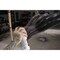 Rust-Oleum Automotive Custom 5-in-1 High Heat Spray Paint, Black, Flat, 12 oz 400090 - alternate 2