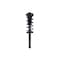 Fcs Struts Suspension Strut And Coil Spring Assembly 1345568 - alternate 1