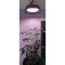 Miracle Led Grow Light, Elegant Barn Style 70W LED, Pink Spectrum Daylight Appearance 803019 - alternate 5
