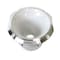 Deejay Led Circular Despacito Aluminum Bolt-on High Frequency Horn Flare WHITE w/2-in Throat TBH1450WHITE - alternate 1