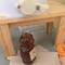 Harvest Lane Honey 5 Gal Plastic Honey Bucket with Gate HONEYBCKT-102 - alternate 5