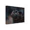 Trademark Fine Art Outdoor Canvas Art - David Stribbling 'Black Panther 3' Wall Art for Patios, or Gardens GRL00365-OC2432WR - alternate 1