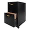 Lavish Home 2 Drawer Wood File Cabinet Filing Cabinet with Lock Rolling File Cabinet for Under Desk Storage 80-FC-4-BLK - alternate 12