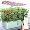 Wrightmaster 10-Pod Black BPA-Free Indoor Smart Hydroponic System W/Adjustable LED Grow Light & 3.5L Water Tank ZR-LPH-Air - alternate 1