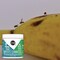 Sc Johnson STEM Fruit Flies Trap, 5.4 oz Jar, 8PK 329965 - alternate 6