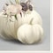 Homeroots Set Of Two BOHO Pumpkins and Flowers 2 White Framed Print Wall Art, 2PK 408203 - alternate 1