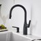Blanco Rivana Pull-Down 1.5 GPM, Matte Black 443020 - alternate 6