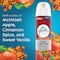 Glade 2X Fragrance 8 Oz. Apple Cinnamon Spray Air Freshener 5290 - alternate 1