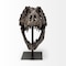 Homeroots Authentic Replica T Rex Skull Sculpture 392483 - alternate 10
