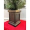 Celebrations 4 ft. Full LED 50 ct Mixed Pine Potted Color Changing Christmas Tree 24-01013A - alternate 8