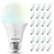 Luxrite A19 LED Light Bulb 75 Watt Equivalent, CRI90, 5CCT Selectable 2700K 3000K 3500K 4000K, 24PK LR21478 - alternate 1