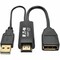 Tripp Lite HDMI/DVI DISPLAYPORT CONVERTER USB POWER P130-06N-DP-V2 - alternate 1