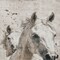 Homeroots 10' X 14' Ivory And Gray Horse Washable Indoor Outdoor Area Rug 618690 - alternate 8