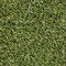 Msi Viridian Green Sample Artificial Grass Turf Full Roll ZOR-TRF-0008-SAM - alternate 8