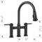 Blanco Empressa Bridge Pull-Down Faucet 1.5 GPM, Matte Black 443024 - alternate 6