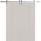Sartodoors Modern Double Barn Door 64 x 96 inches, BASIC 3001 Ash Franko, 13FT Silver Rail Track Set, Solid BASIC3001DB-S-YAFR-6496 - alternate 1
