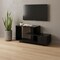 Homeroots 47in Black Cabinet Enclosed Storage TV Stand 490357 - alternate 5