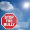 Signmission Stop The Bully, 6 Inch X 6 Inch, Plastic Sign OC-P-6-76 - alternate 7