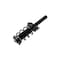 Fcs Struts Suspension Strut And Coil Spring Assembly 1335594 - alternate 5