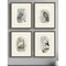 Homeroots Set Of Four Birds Brown Framed Print Wall Art, 4PK 526004 - alternate 3