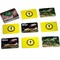 Stages Learning Materials Photographic Memory Matching Game, Insects & Bugs, 3PK 223 - alternate 9