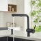 Blanco Linus Low Arc Pull-Out Dual-Spray Kitchen Faucet - Coal Black 526374 - alternate 5