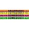Musgrave Pencil Co You're Somebody Special Pencil, 144PK MUS1524G - alternate 4