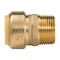 Proline Series 1-in PF x MIP Brass Push Fit Male Adapter 6630-105 - alternate 5