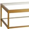 Homeroots 54" Clear And Gold Glass And Steel Coffee Table With Shelf 521979 - alternate 9
