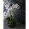 Apollo Tile Gray 11 x11 Thassos, Bianco Carrara Marble Polished Floor and Wall Mosaic Tile 4.2 sqft/case, 5PK APLDC88PB2A - alternate 13