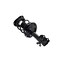 Fcs Struts Suspension Strut And Coil Spring Assembly 1333942R - alternate 5