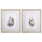 Homeroots Set Of Two Neutral Oyster A Wood Brown Framed Wall Art, 2PK 476098 - alternate 1