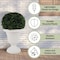 Pure Garden Outdoor Planter 2-Pack 16x18 in Urn Planters Plastic Plant Pots for Indoor or OutdoorFlower Pots 50-LG1429 - alternate 7