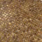 Apollo Tile Light Bronze 12 in x 12 in Shell Polished Floor and Wall Mosaic Tile 20 sqft/case, 20PK APLSMA88001A - alternate 7