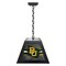 Holland Bar Stool Baylor University Pendant Box Light BxLM1 - alternate 1